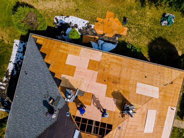Best Roof Gutter Cleaning  in West Point, KY